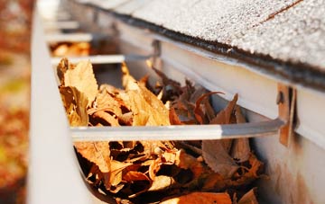 South Newton gutter cleaning companies